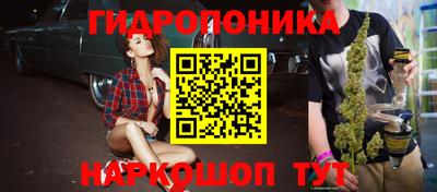 крисы Тверь