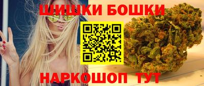 крисы Тверь