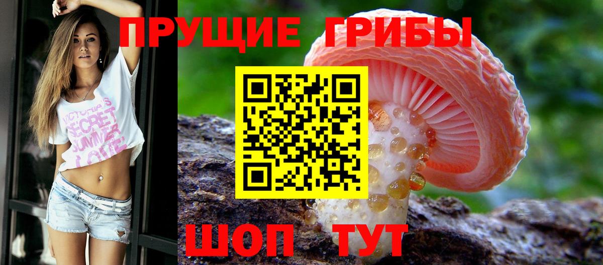 Лянтор  Псилоцибиновые грибы Cubensis  Галлюциногенные грибы Magic Shrooms  Вход с VPN 