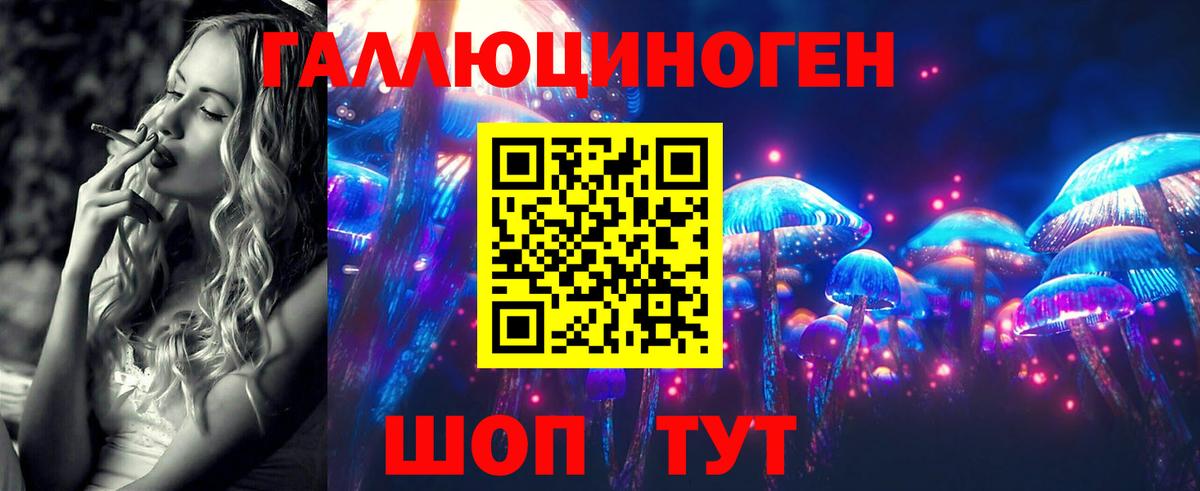 Галлюциногенные грибы Psilocybine cubensis Лянтор